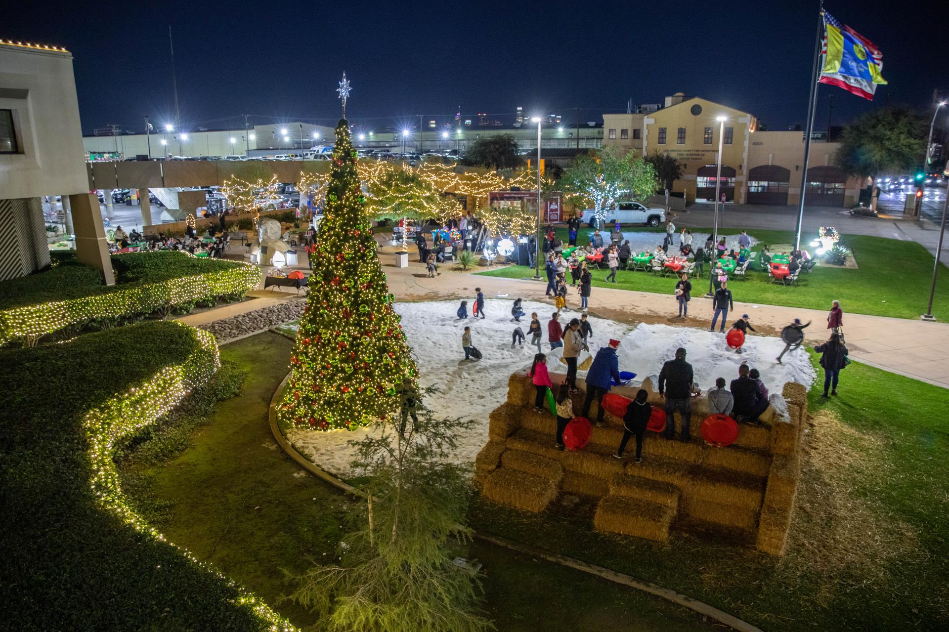 Tree Lighting